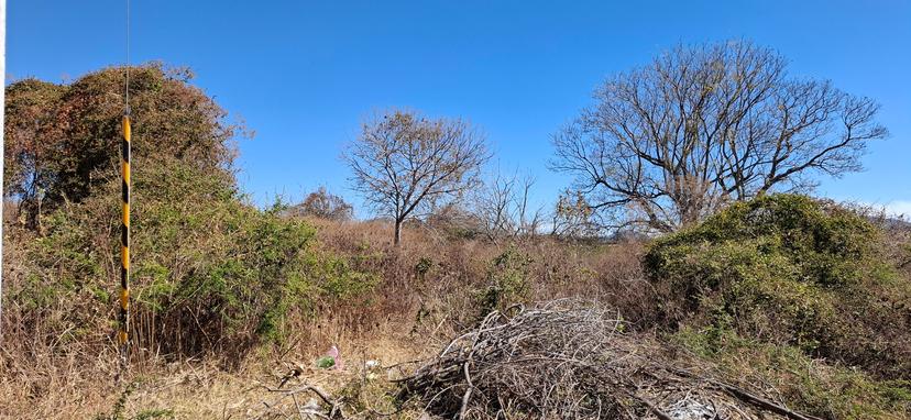Terreno con Escrituras en la Campanilla Ixtlahucan 5