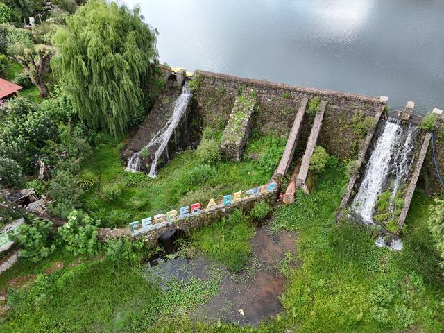 Terrenos en Venta en Tapalpa ( Ferreria de Tula) 