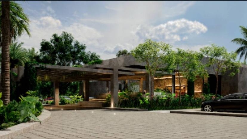 NOMAD Comunidad de Sur a Norte en YUCATÁN  2