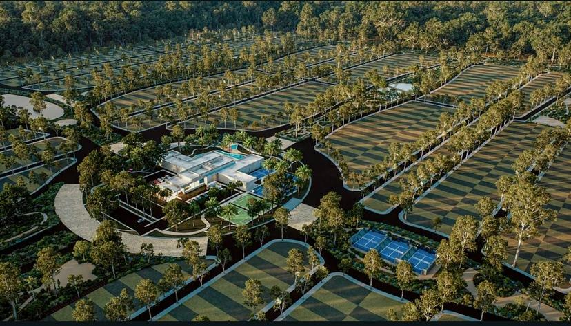 NOMAD Comunidad de Sur a Norte en YUCATÁN  3