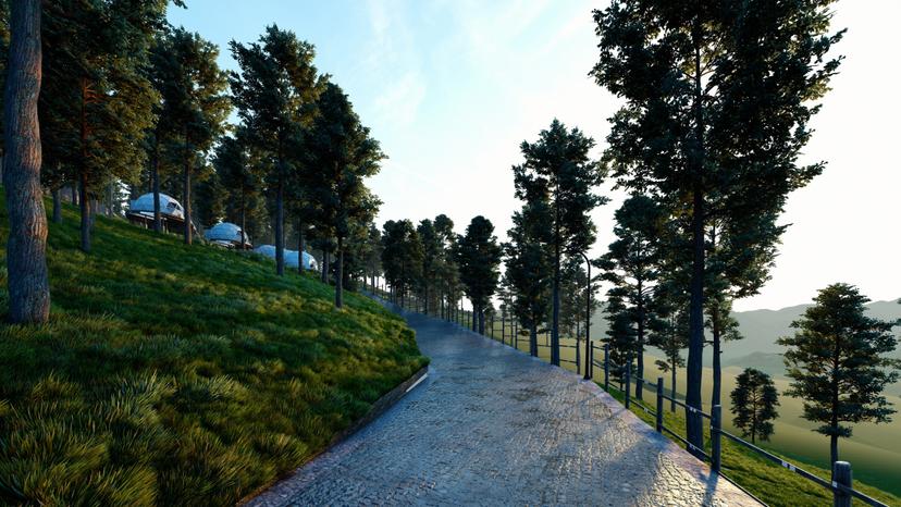 Desarrollo de lotes campestres en Mazamitla  2