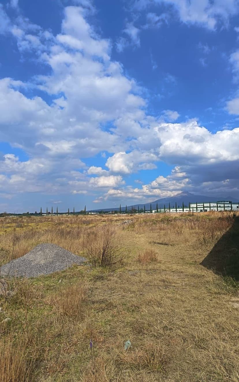 TERRENO EN SAN PABLO DEL MONTE 3